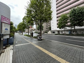 ドミー向城