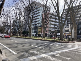 メゾン定禅寺